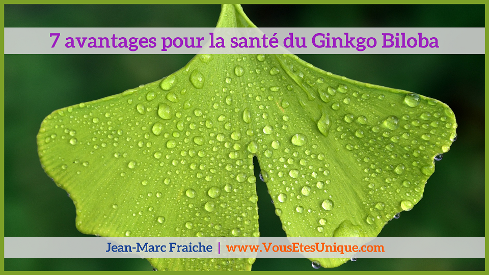 7-avantages-Ginkgo-Biloba-Jean-Marc-Fraiche-VousEtesUnique.com