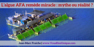 Algue-AFA-remede-miracle-mythe-ou-realite-Jean-Marc-Fraiche-VousEtesUnique.com