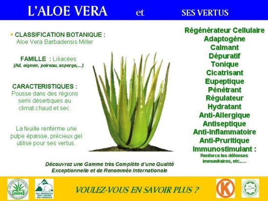 Aloe-Vera-Sumeriens-bienfaits-2-gammes-Jean-Marc-Fraiche-VousEtesUnique.com