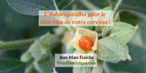 Ashwagandha-pour-le-bien-etre-de-votre-cerveau-Jean-Marc-Fraiche