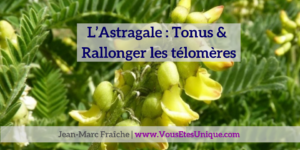 Astragale-Tonus-et-telomeres-Jean-Marc-Fraiche-VousEtesUnique.com