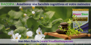 Bacopa-facultes-cognitives-et-memoire-Jean-Marc-Fraiche-VousEtesUnique.com