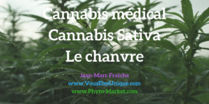 Cannabis-médical-Cannabis-Sativa-chanvre-Jean-Marc-Fraiche-VousEtesUnique