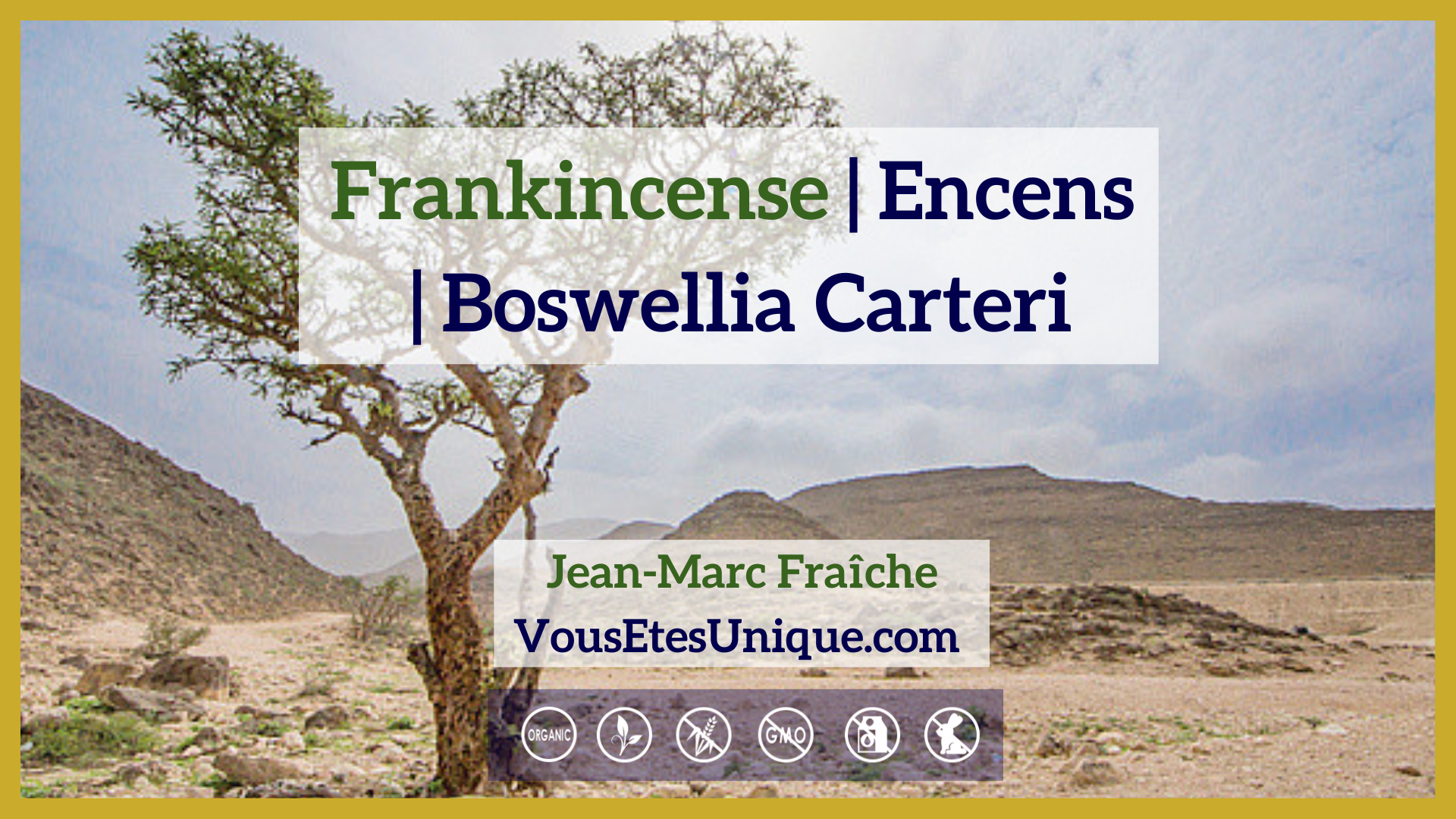 Frankincense-Encens-Huile-Essentielle-Jean-Marc-Fraiche-VousEtesUnique