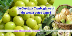 Garcinia-Cambogia-Jean-Marc-Fraiche-VousEtesUnique.com