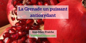 Grenade-un-puissant-antioxydant-Jean-Marc-Fraiche-Vousetesunique