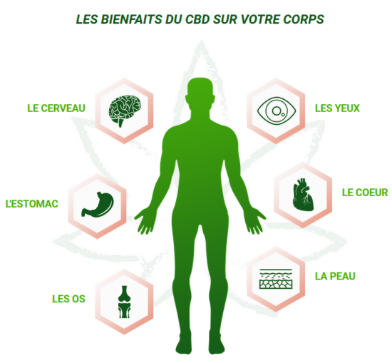 Les propriétés médicale du CBD LES-BIENFAITS-DU-CBD-SUR-VOTRE-CORPS-Jean-Marc-Fraiche-VousEtesUnique.com