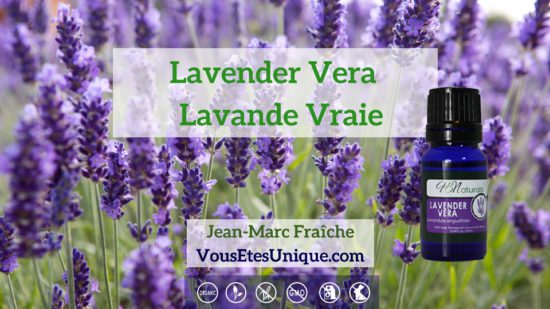 Lavender-Vera-Lavande-Vraie-HB-Naturals-Jean-Marc-Fraiche-VousEtesUnique