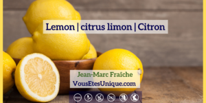 Lemon-Citrus-Limon-Citron-Huile-Essentielle-Jean-Marc-Fraiche-VousEtesUnique.com