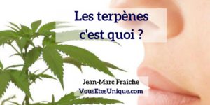 Les-Terpenes-Jean-Marc-Fraiche-VousEtesUnique