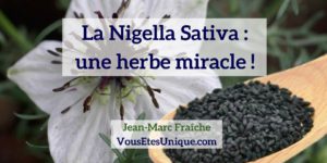 Nigella-Sativa-Nigelle-HB-Naturals-Jean-Marc-Fraiche-VousEtesUnique
