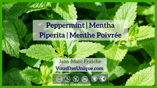 Coffret aux huiles essentielles de qualité thérapeutique premiumPeppermint-Mentha-Piperita-Menthe-Poivree-Huile-Essentielle-Jean-Marc-Fraiche-VousEtesUnique.com