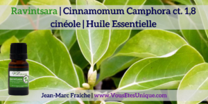 Ravintsara-Cinnamomum-cineole-Huile-Essentielle-Jean-Marc-Fraiche-VousEtesUnique.com