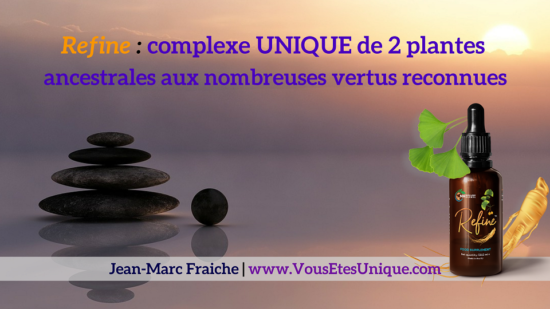 Refine-NH-Global-Ginseng-Ginkgo-Biloba-Jean-Marc-Fraiche-VousEtesUnique.com