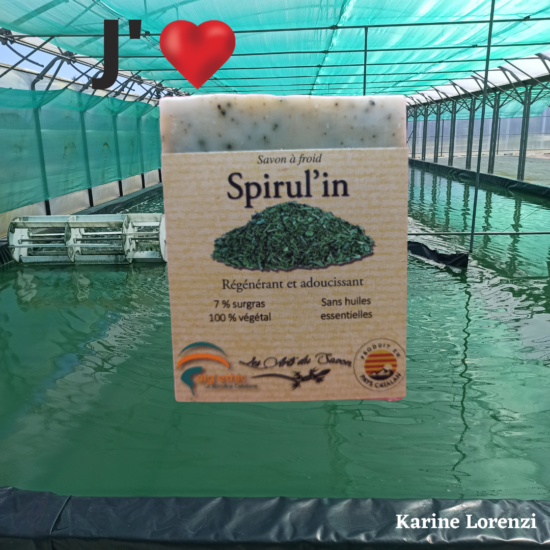 Spirulin-Les-arts-du-savon-Algethic-Karine-Lorenzi-VousEtesUnique.com
