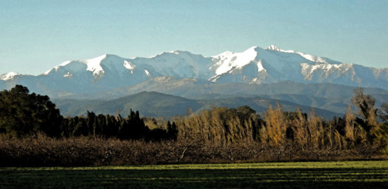 Travail-a-Domicile-Languedoc-Roussillon-Jean-Marc-Fraiche