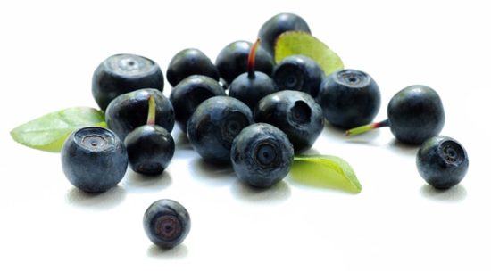 bilberry-extract-blueberry-Extra-Life-Vision-Jean-Marc-Fraiche-VousEteesUnique;com
