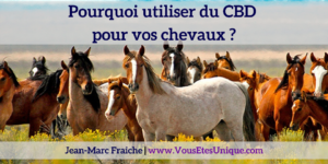 chevaux-cbd-huile-Jean-Marc-Fraiche-VousEtesUnique.com