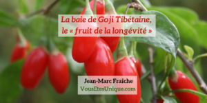 goji-baie-fruit-de-la-longevite-Jean-Marc-Fraiche