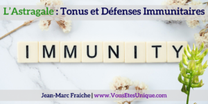 l-astragale-tonus-et-defenses-immunitaires-Jean-Marc-Fraiche-VousEtesUnique.com