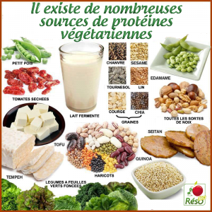 vegetarien-Phyto-Market.com